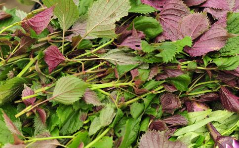 �ܵ��˳Ե������в�ҩ