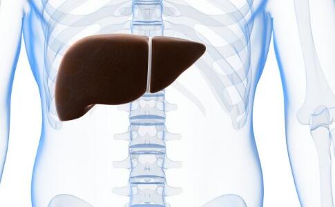 ���������������Ҹθ���