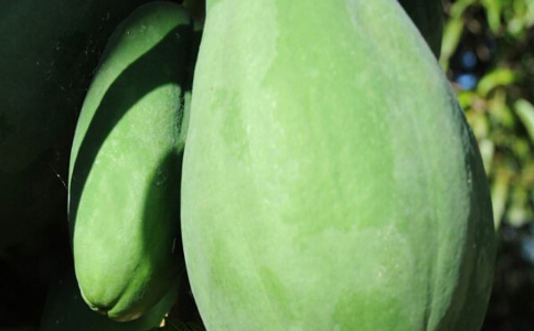 Ұľ����ˮ�ȵĽ���