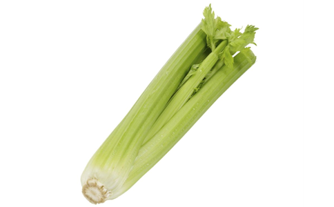 ������ݲ���ϴ�� ����19��ʳ��͹���