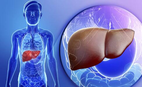 �Ҹ����ξ���10�ֳ�������