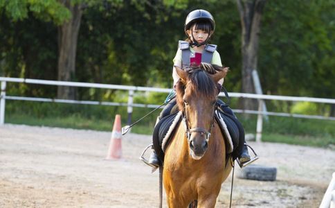 Ī��ε��ɴ���׶��ع� ������ȹ����Ψ��