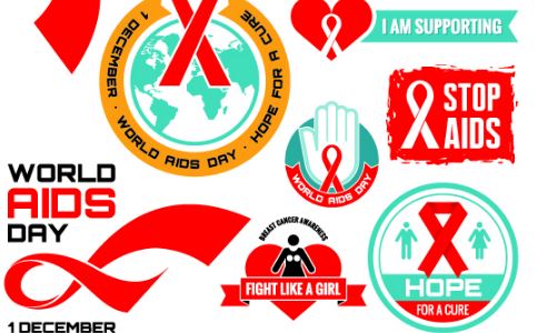 ���� ���̲���ͥ����������