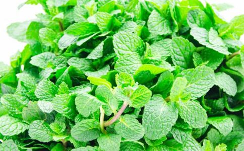 ���ʺ����������õ�8ζ��ҩ