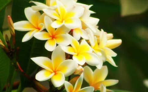 ��������ˮ�ȵĹ�Ч