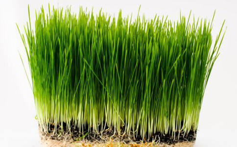 ����������ʮ�ֲ� ������������һ����