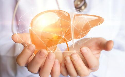 �＾�ΰ����ߵĻ�����֪