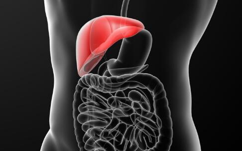 �Ҹβ���Я���ߵĳ�· ͨ�����������