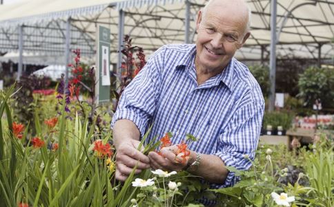 ���Ĳ��ķ�������ʳ����