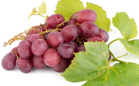 ���������Ժ���������