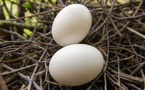 鸡蛋营养丰富 每天吃几个最合适