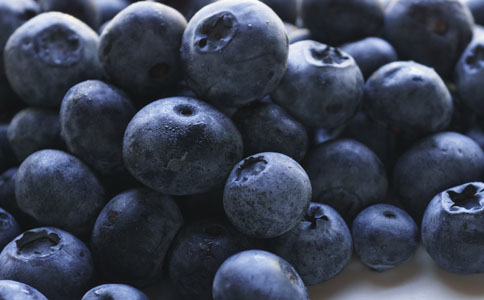 ����11�����ٵĿ�˥��ʳ��