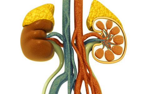 ��֢�ĳ���֢״����Щ