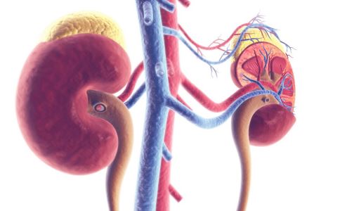 Ů����ǰ������ʲôʳ��