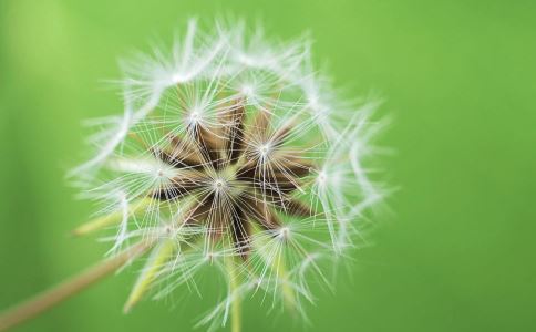 �ѹ�Ӣ��ˮ����ʲô��Ч