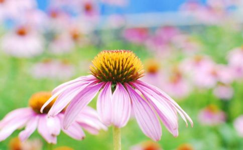 ��������|������������������ȫ