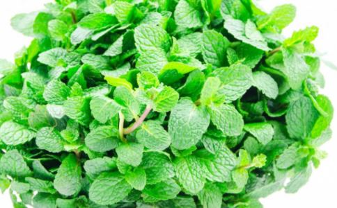 �ɳ�10��ʳ����ߴ����