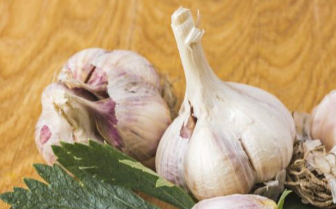 ÿ�ܳԴ��� �ΰ����ս�һ��