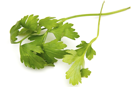 ���²��в����ġ�ɱ�֡�ʳ��