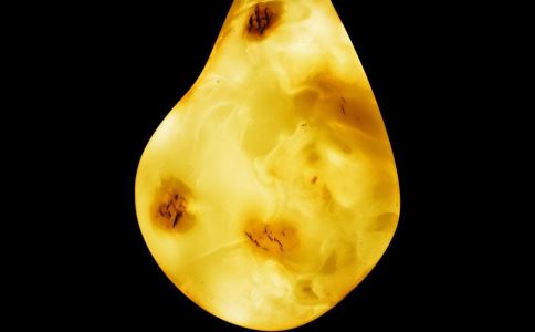 ��ҩ����԰�֢����Щ����