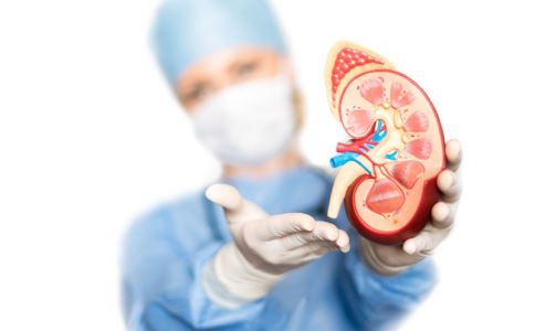 ������������������