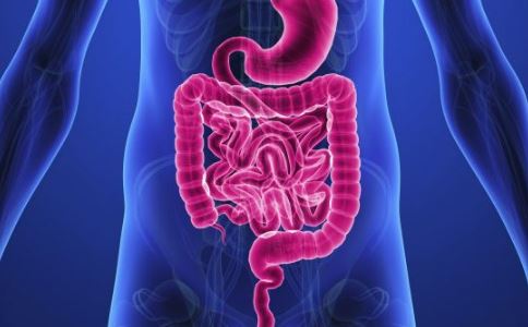 ������̴��߷���Ⱥ ���������׵���