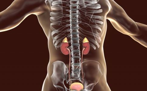 �＾�������� �����������