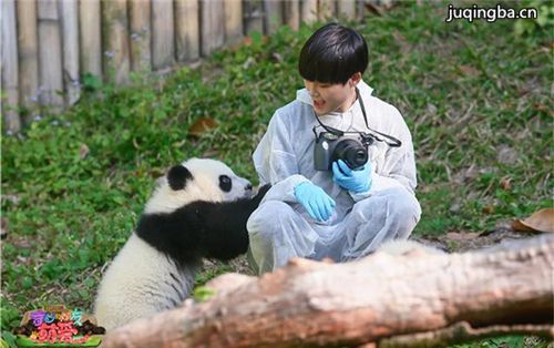 电影奇妙的朋友之萌爱2016剧情介绍最全完整版