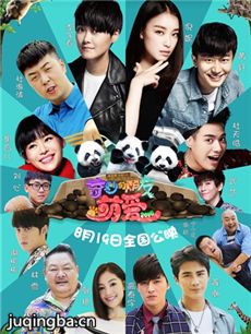 电影奇妙的朋友之萌爱2016剧情介绍最全完整版