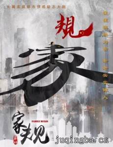 家规剧情介绍(1-55全集)