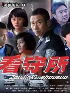 电视剧《走进看守所》剧情介绍(1-29全集)