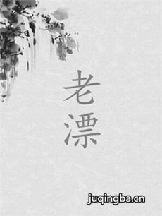 老漂剧情介绍(1-34全集)