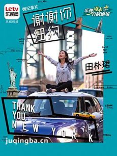 电视剧谢谢你纽约剧情介绍(1-8全集)