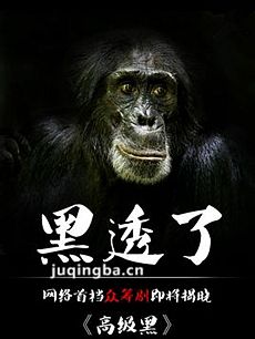 ���Ӿ�߼��ھ������(1-10ȫ��)