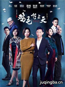 电视剧《鸡毛飞上天》剧情介绍(1-55全集)