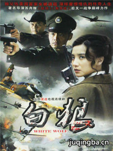 白狼剧情介绍(1-30全集)