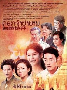 ռ�Ż������������ȫ������