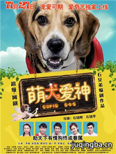 ��Ȯ����������(1-12ȫ��)