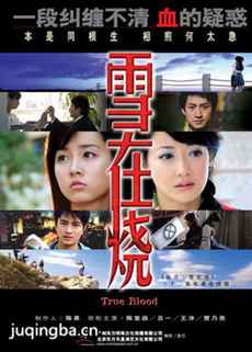 雪在烧剧情介绍(1-32全集)