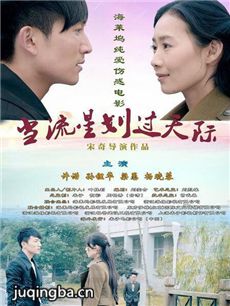 电影当流星划过天际剧情介绍最全完整版