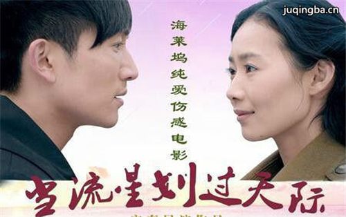 电影当流星划过天际剧情介绍最全完整版