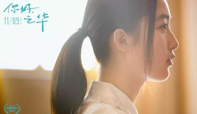 《你好,之华》剧情介绍最全完整版