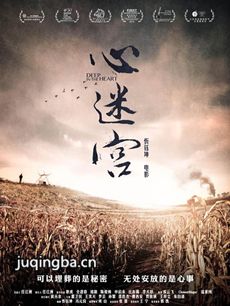 电影心迷宫剧情介绍最全完整版