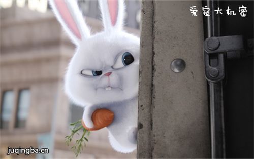 ��Ӱ�������ܾ��������ȫ������