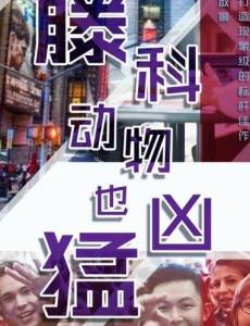 �ٿƶ���Ҳ���;������(1-50ȫ��)