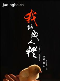 电影我的成人礼剧情介绍最全完整版