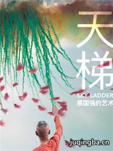 电影《天梯:蔡国强的艺术》剧情介绍最全完整版