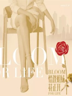 ǡ����û������������(1-41ȫ��)