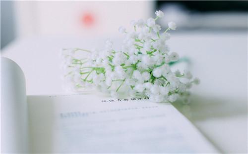 ���ſɰ�����΢��ǩ�����Ԫ������