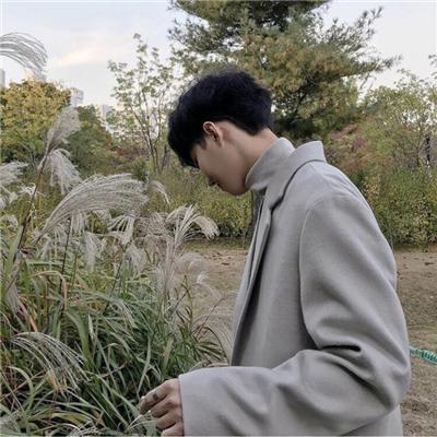 �����д���qq����ǩ����ȫ����ins�˸з�